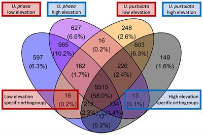 Gene abundance linked to climate zone: Parallel evolution of gene content along elevation gradients in lichenized fungi